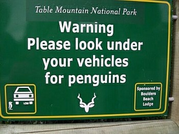 Beware of penguins!